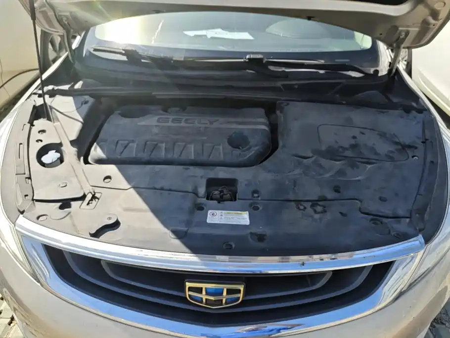 Geely Emgrand GS — миниатюра 10
