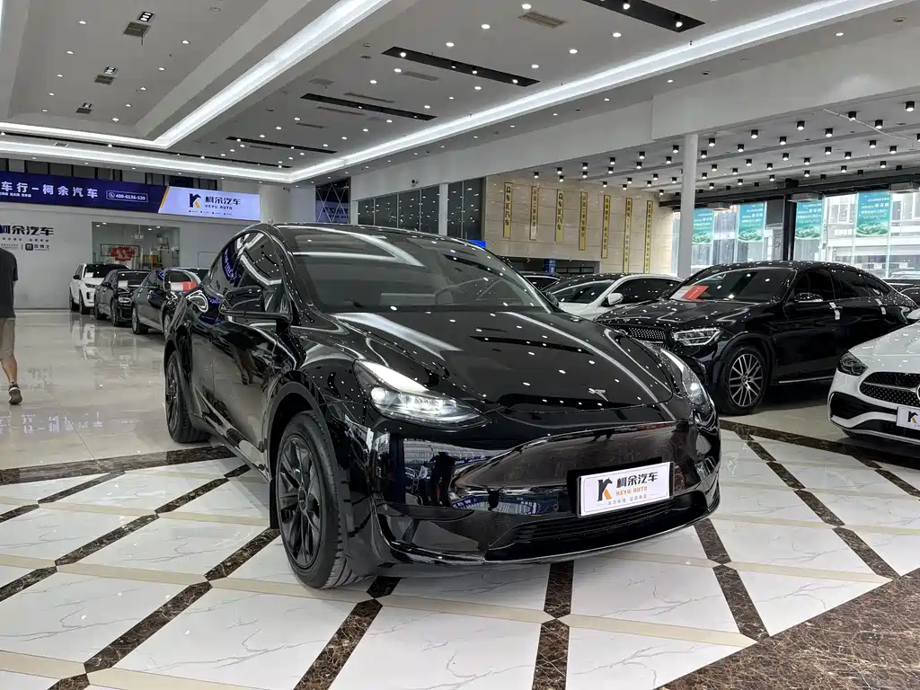 Tesla Model Y — миниатюра 4