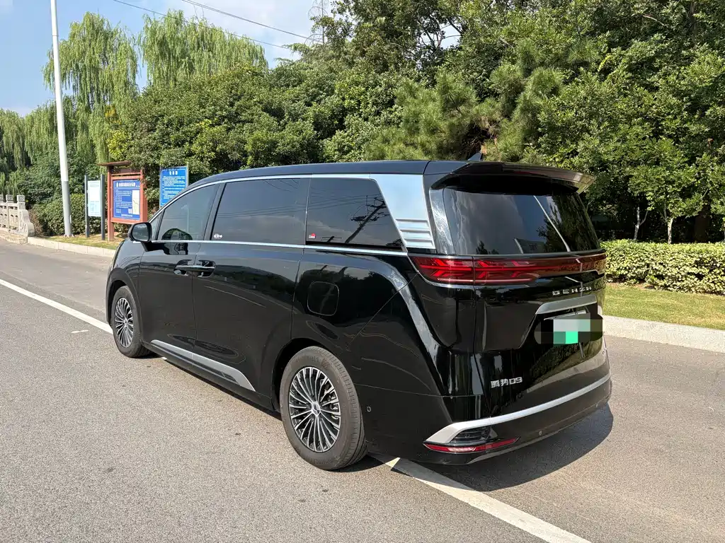 Denza Denza D9 — миниатюра 6