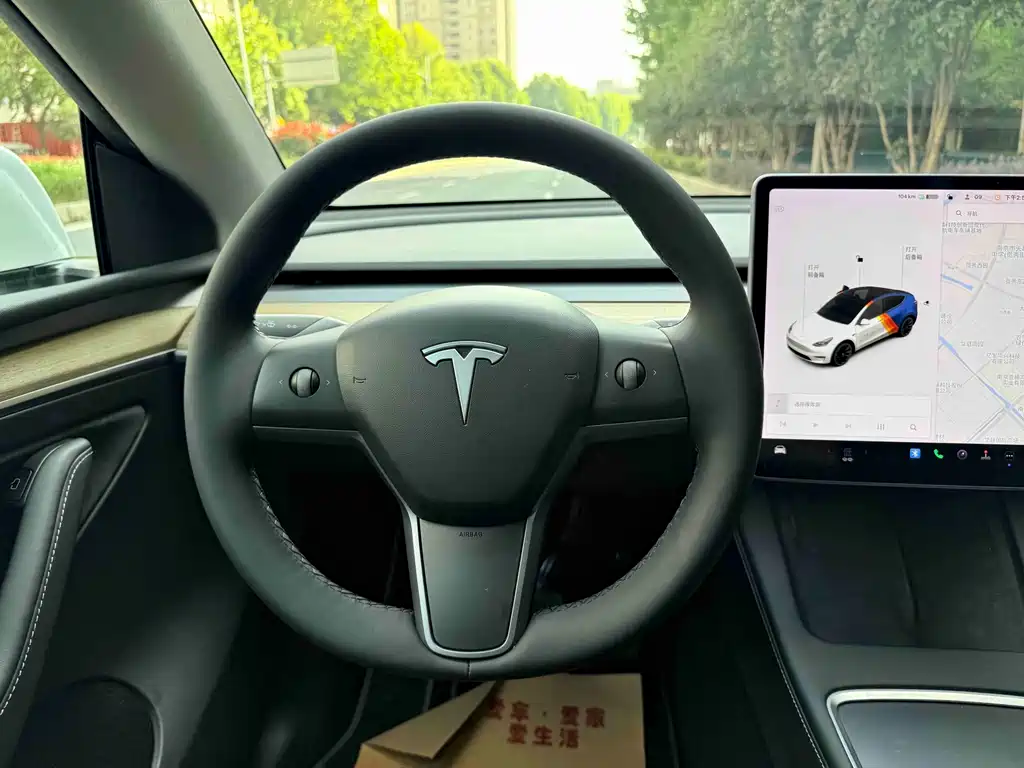 Tesla Model Y — миниатюра 14
