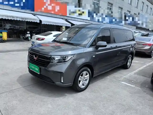 2022 Wuling Motors Zhengcheng