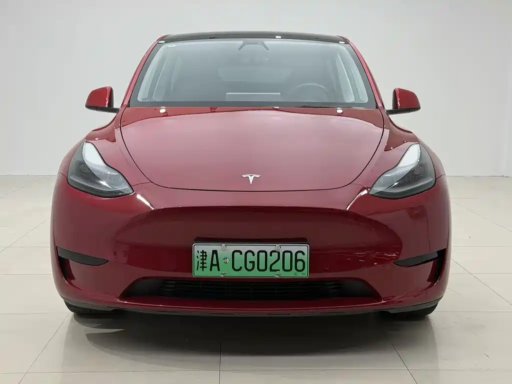 Tesla Model Y — миниатюра 2