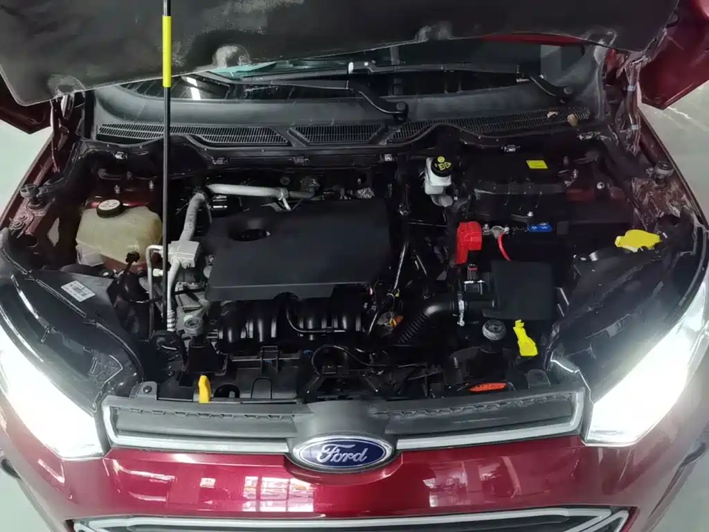 Ford Ecosport — миниатюра 20