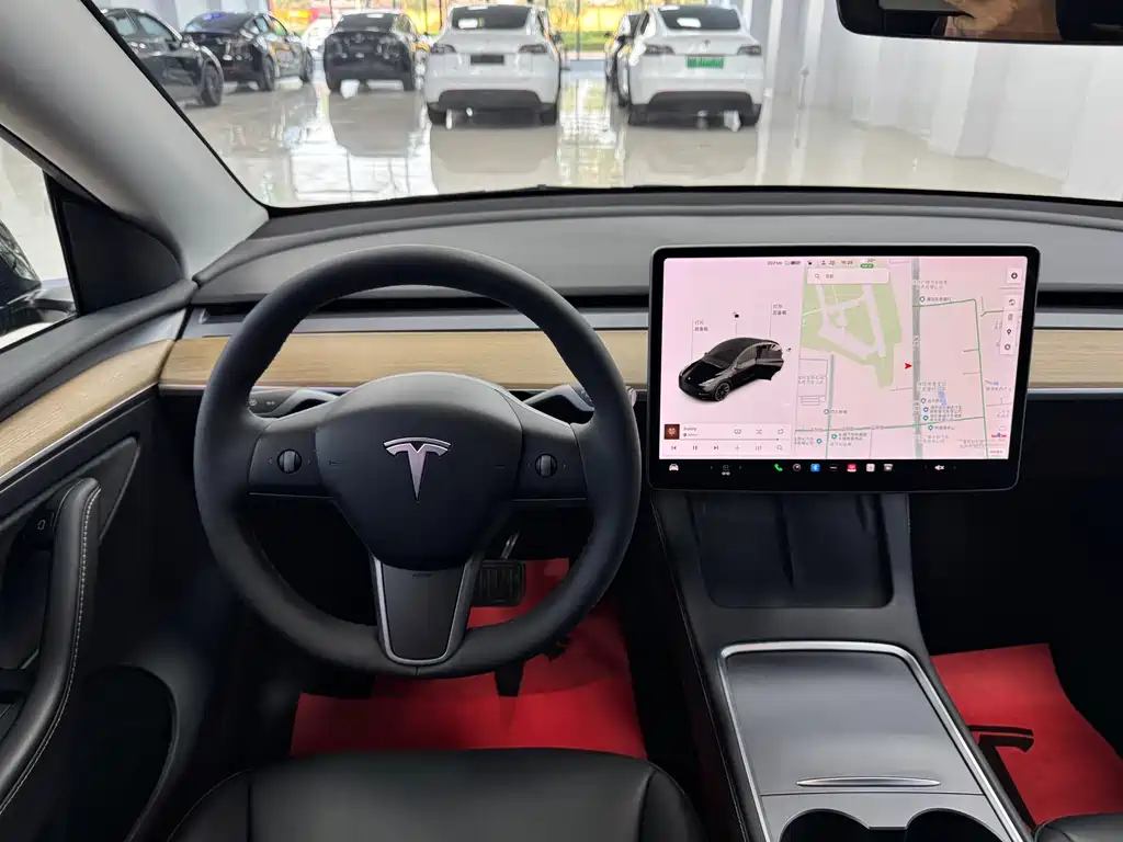 Tesla Model Y — миниатюра 9