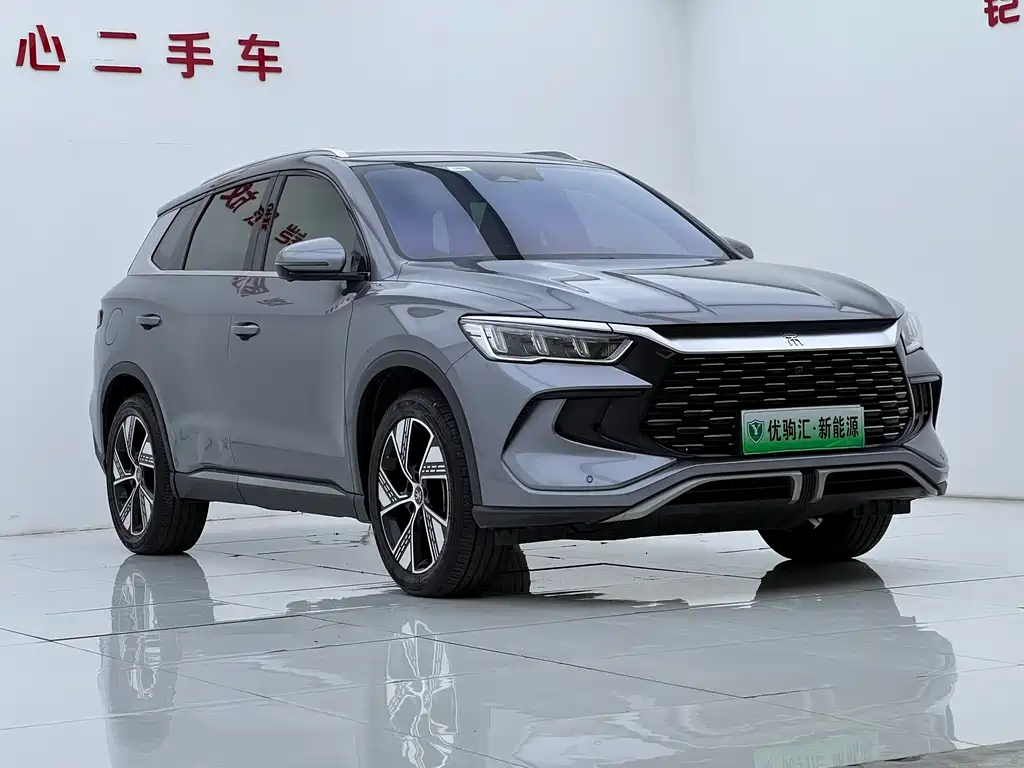 BYD Pro New Energy — миниатюра 2