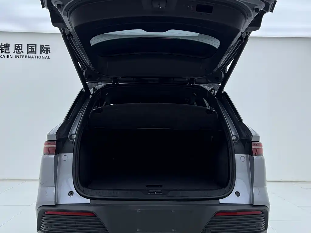 BYD Pro New Energy — миниатюра 11