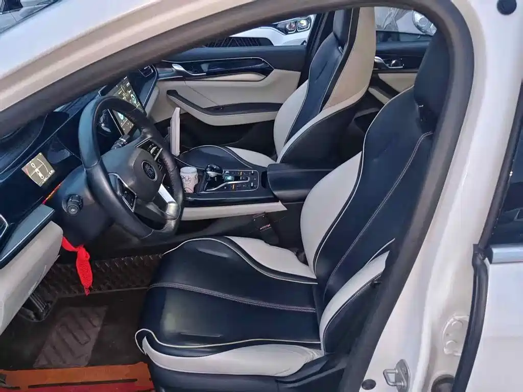 BYD Qin PLUS — миниатюра 15