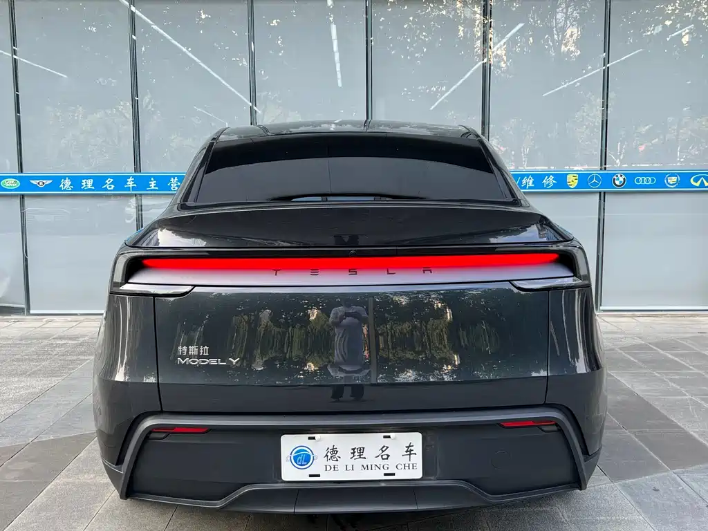 Tesla Model Y — миниатюра 13