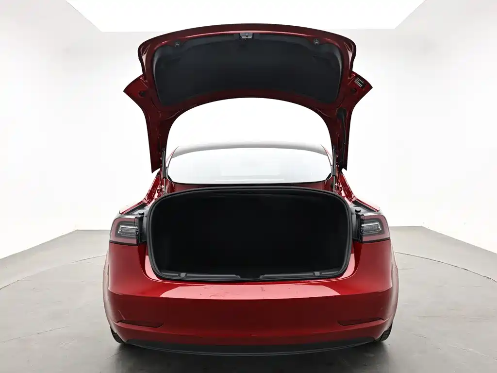 Tesla Model 3 — миниатюра 10