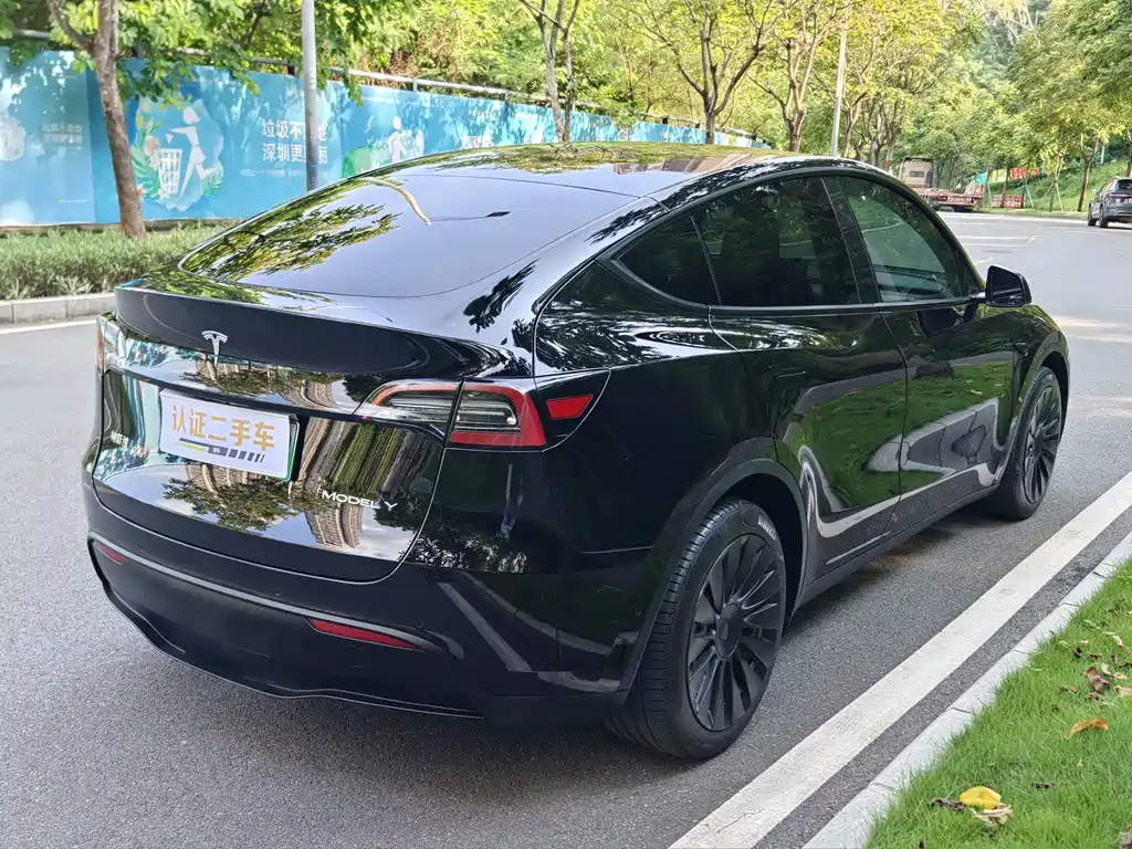Tesla Model Y — миниатюра 5