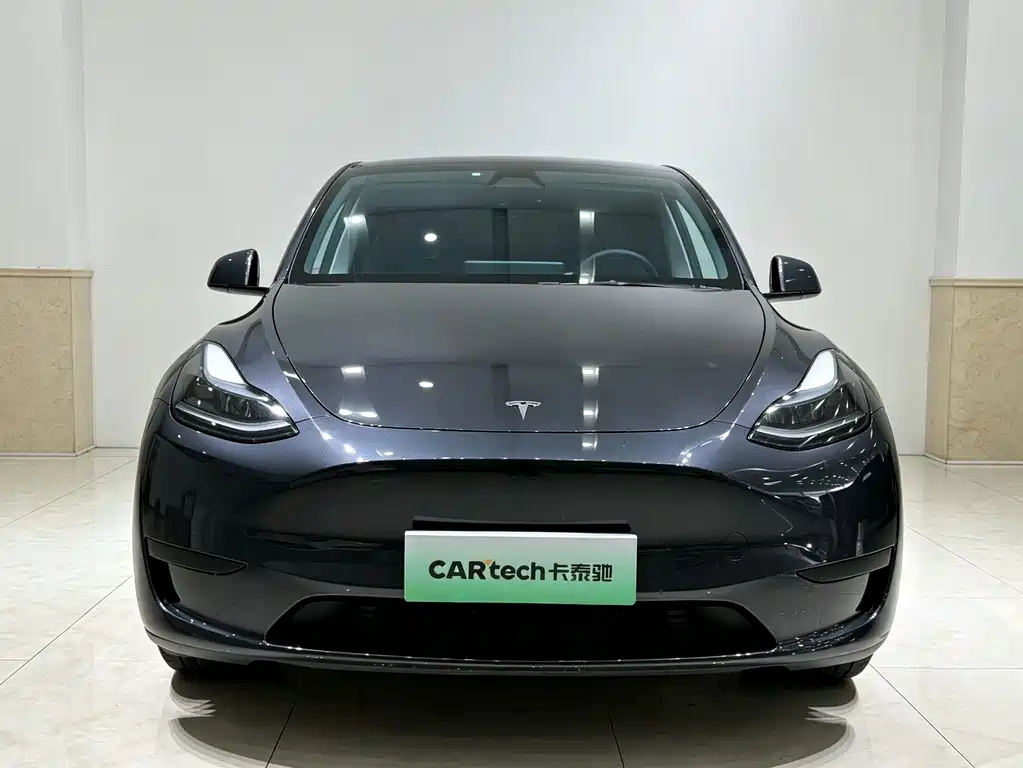 Tesla Model Y — миниатюра 2