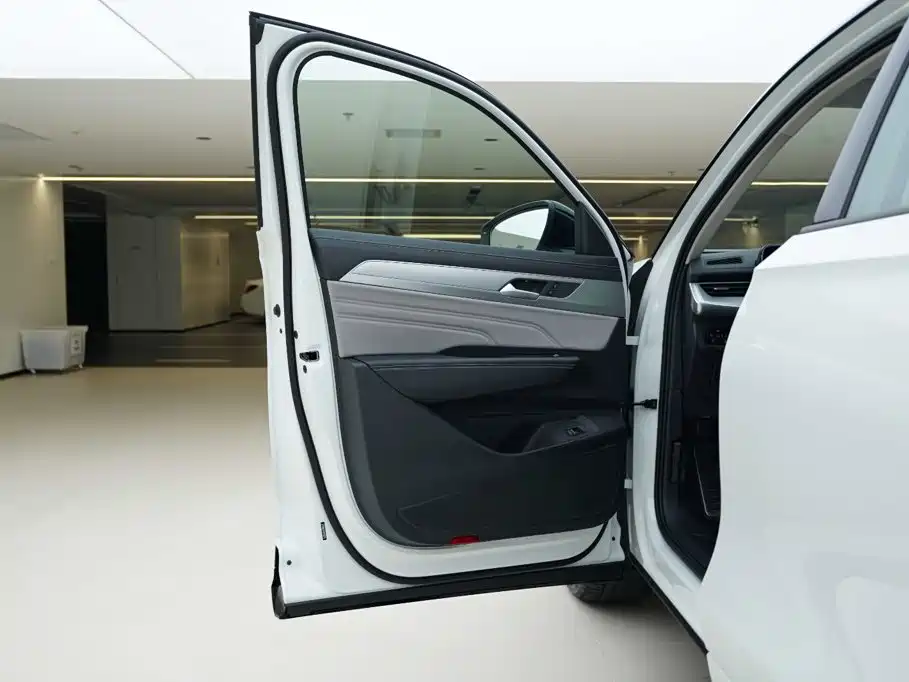 Volkswagen Tavendor — миниатюра 15