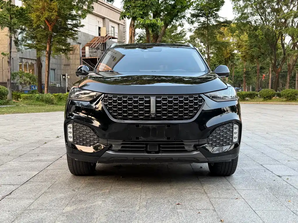 Wey Wey VV6 — миниатюра 2