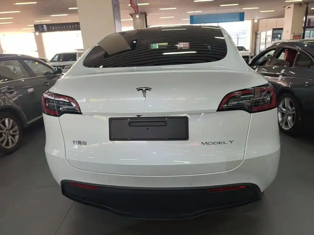 Tesla Model Y — миниатюра 6