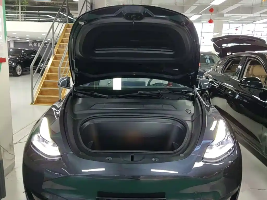 Tesla Model Y — миниатюра 20