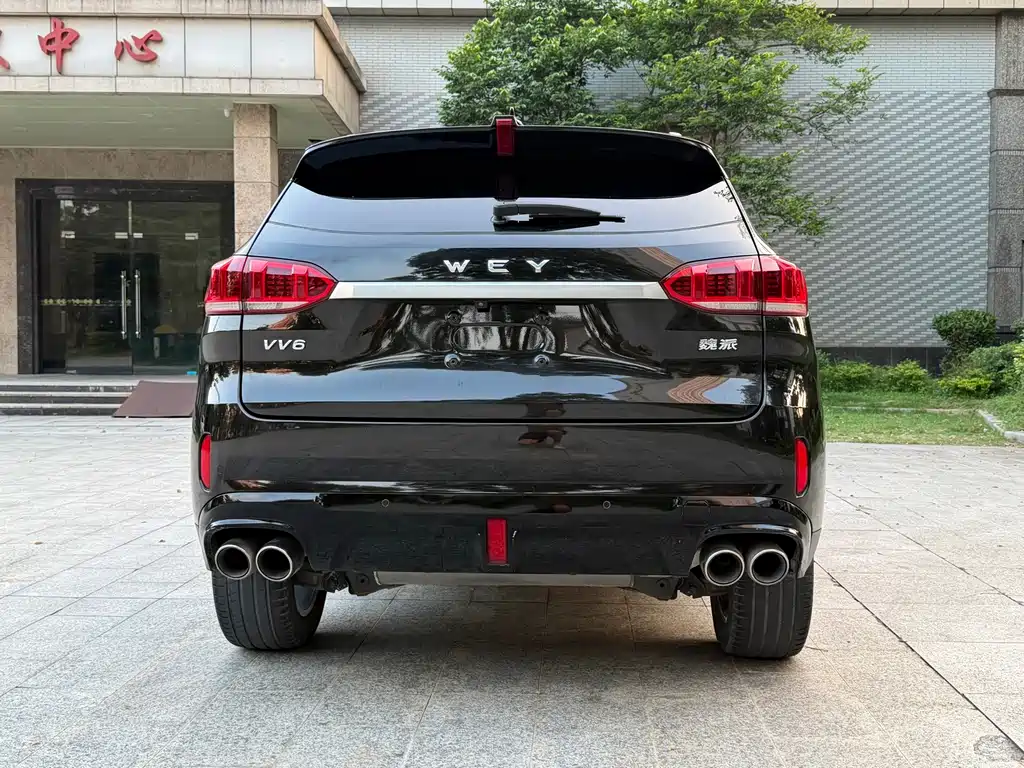 Wey Wey VV6 — миниатюра 15