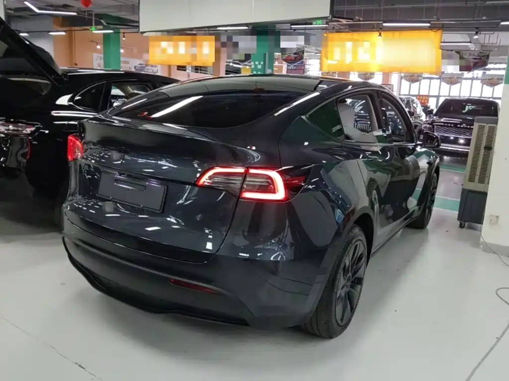 Tesla Model Y — миниатюра 7