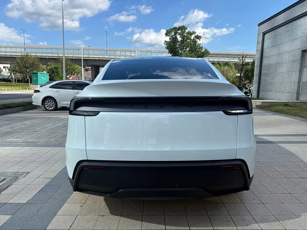 Tesla Model Y — миниатюра 13