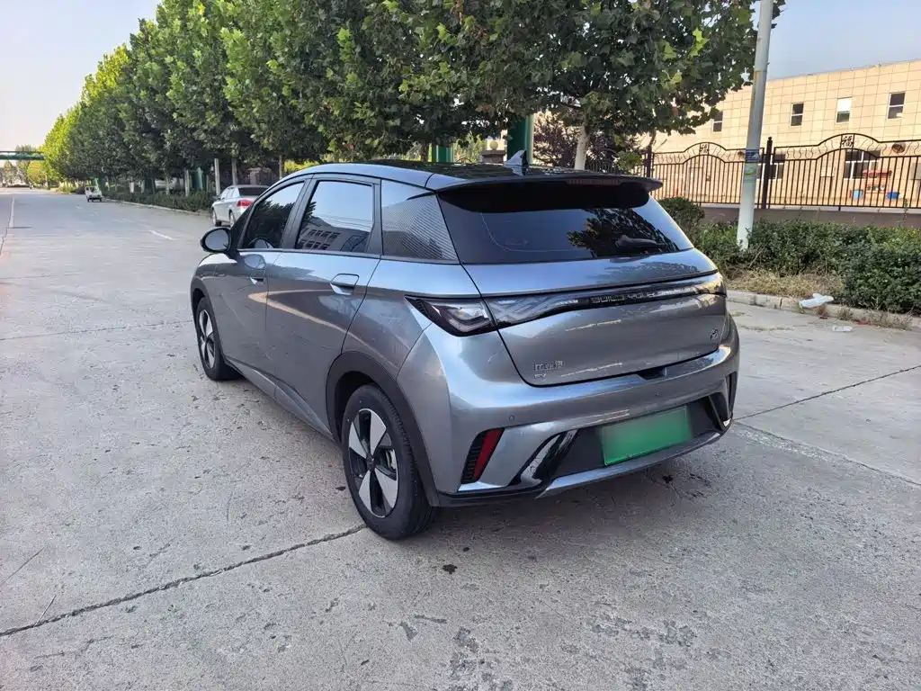 BYD Dolphin — миниатюра 13