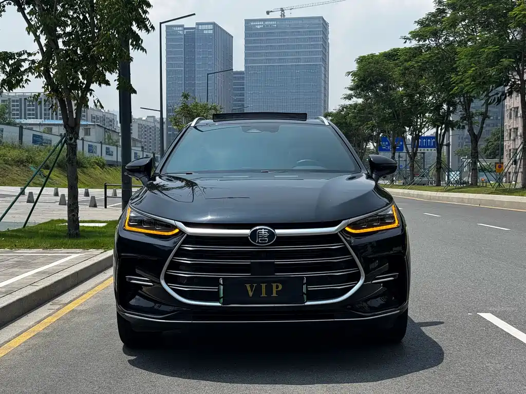 BYD Tang New Energy — миниатюра 2