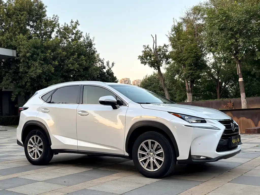 Lexus NX — миниатюра 8