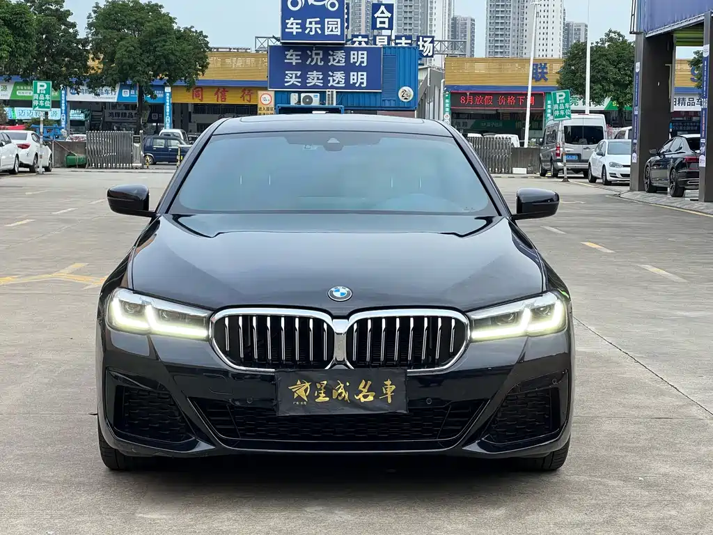 BMW 5 Series (Import) — миниатюра 2