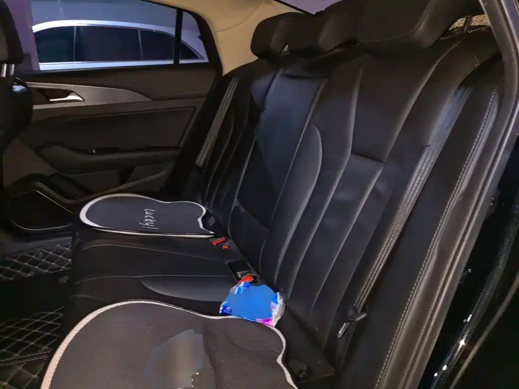 Hongqi Hongqi H5 — миниатюра 15