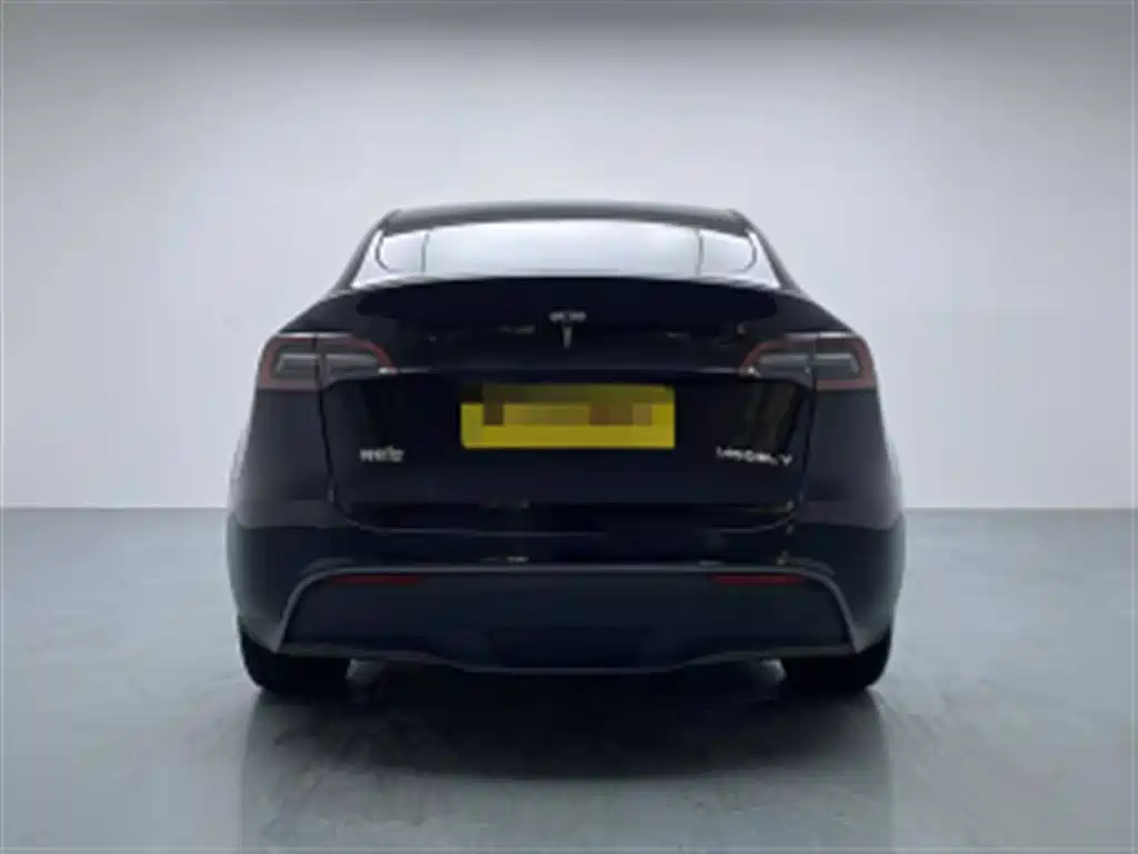 Tesla Model Y — миниатюра 14