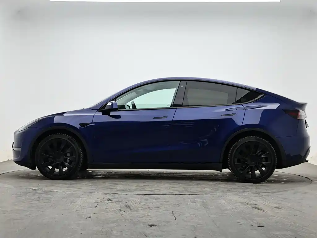 Tesla Model Y — миниатюра 6