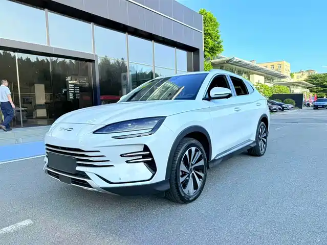 BYD SONGJIANG NEW ENERGY 2024