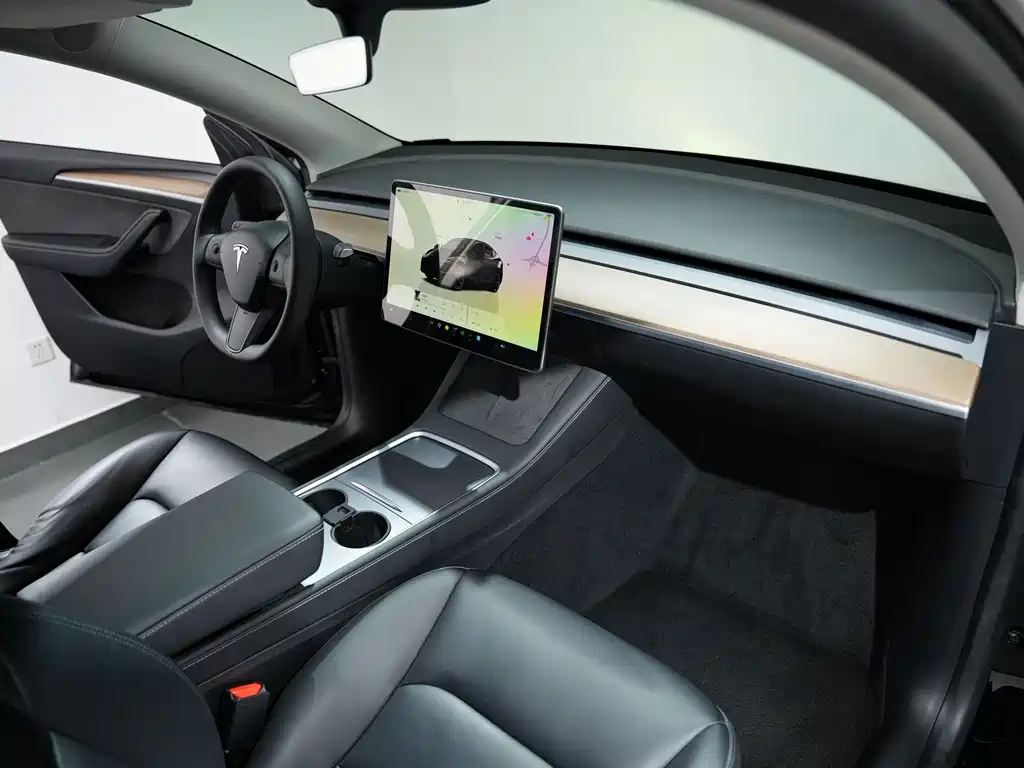 Tesla Model Y — миниатюра 9