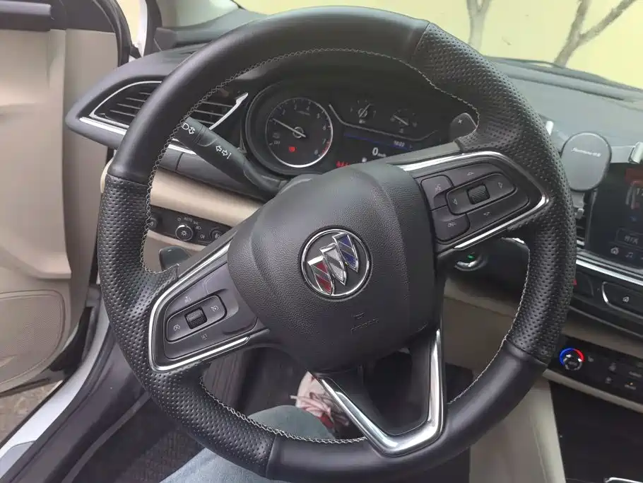 Buick Regal — миниатюра 15