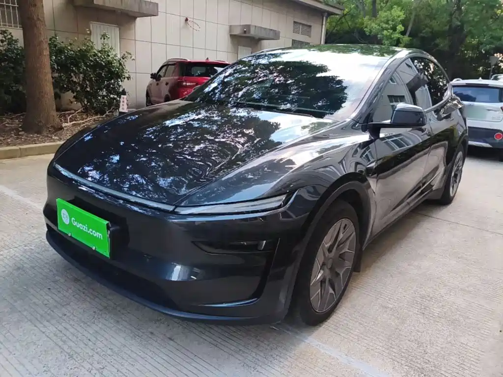 Tesla Model Y L — миниатюра 2