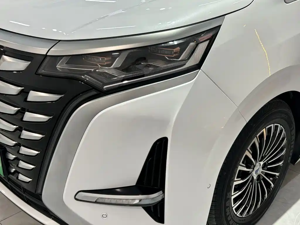 Denza Denza D9 — миниатюра 18