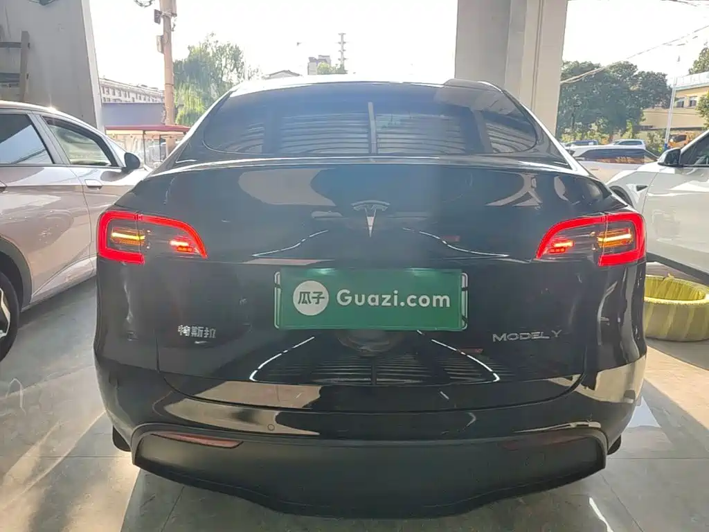 Tesla Model Y — миниатюра 6