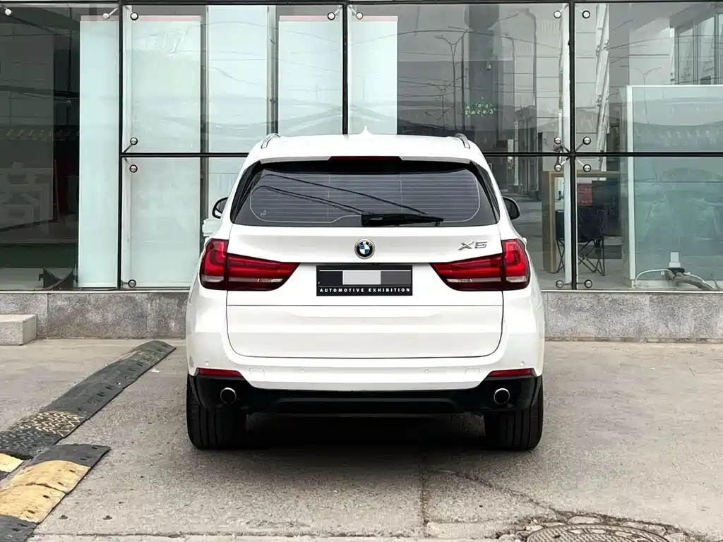 BMW X5 (Import) — миниатюра 9