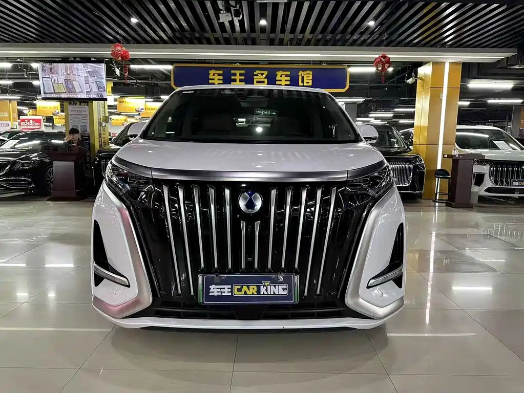 Denza Denza D9 — миниатюра 2
