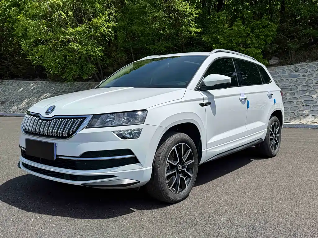 Купить Skoda Karoq