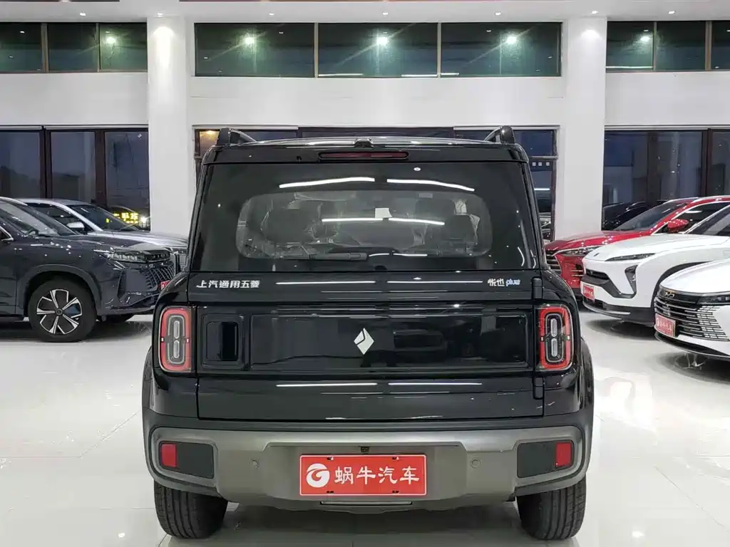BAOJUN YUE ALSO PLUS
