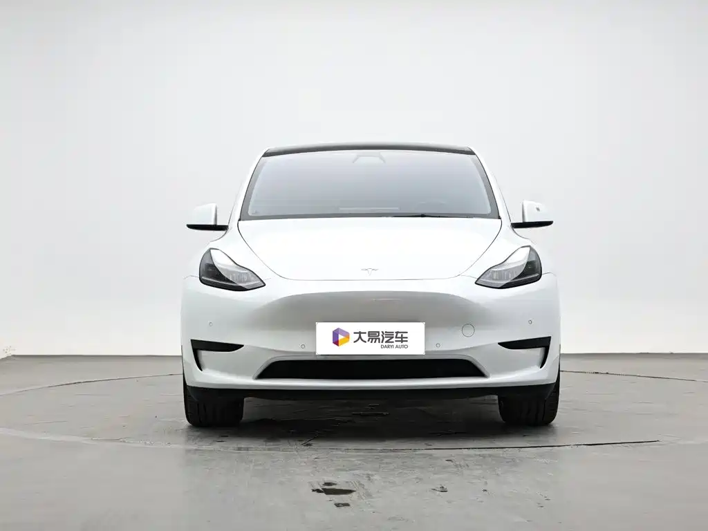 Tesla Model Y — миниатюра 2