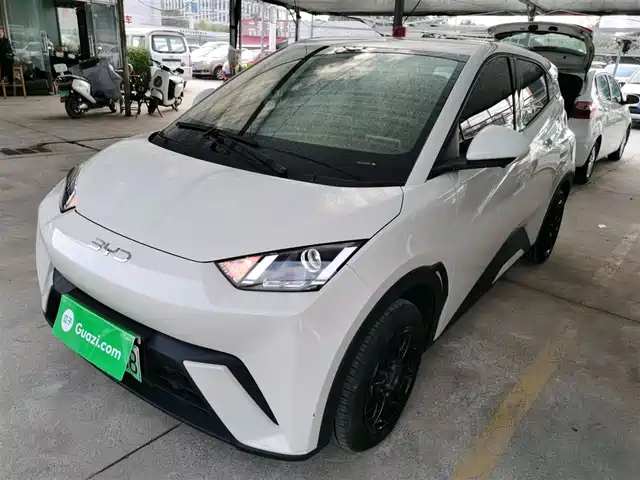 BYD SEAGULL 2024