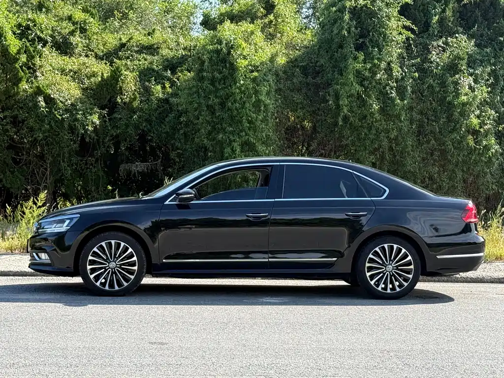 Volkswagen Passat — миниатюра 4