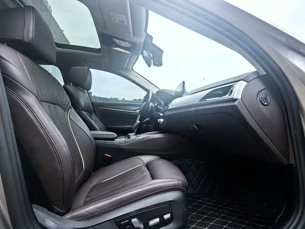 BMW 5 Series 5 2020 530Li Premium Luxury