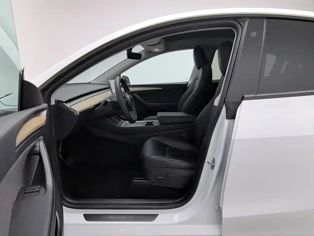 Tesla Model Y — миниатюра 10