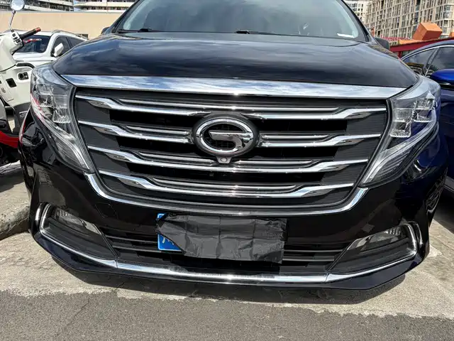 2018 GAC GN8
