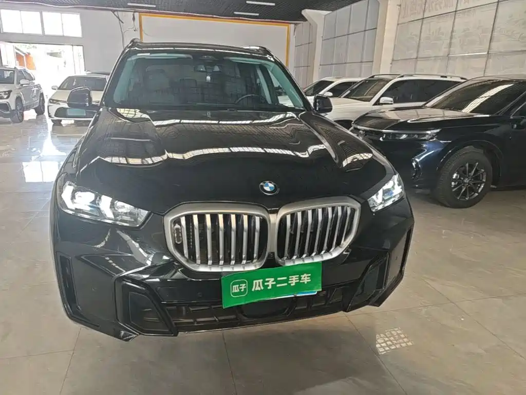 BMW X5 — миниатюра 3