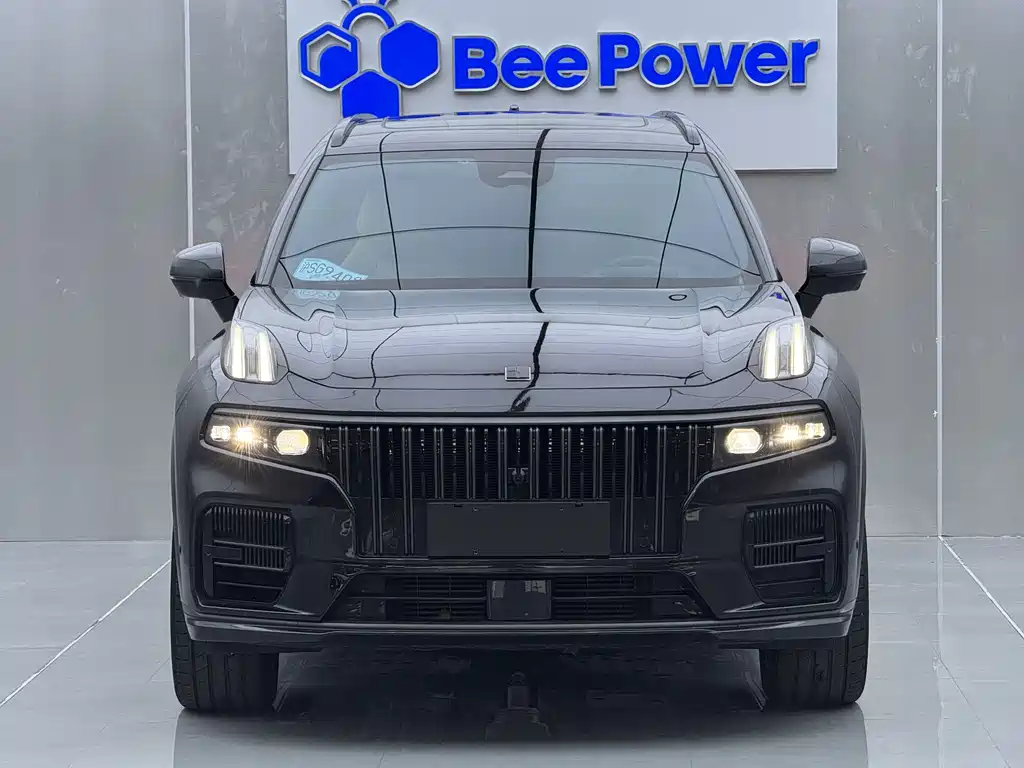Lynk & Co 09 EM-P 2021 2.0T PHEV Halo мест