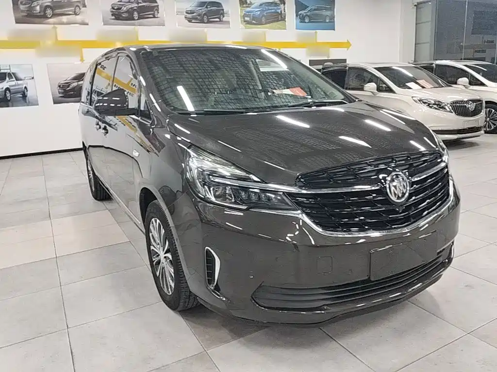 Buick GL8 — миниатюра 4
