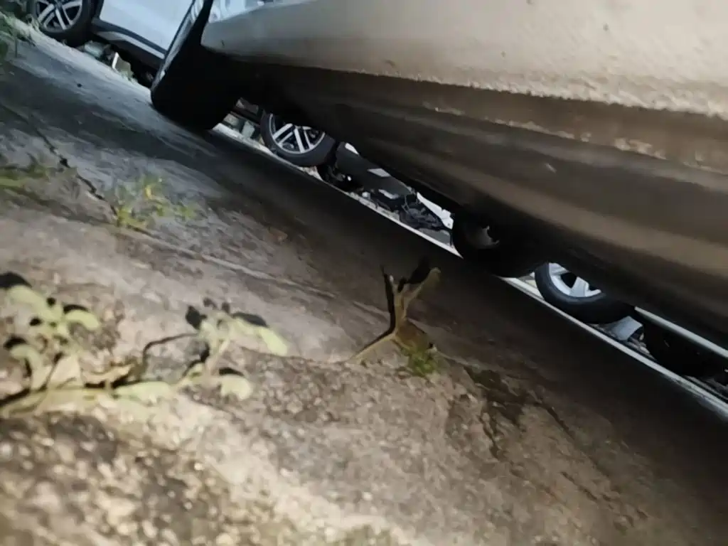 Volkswagen Lamando — миниатюра 21
