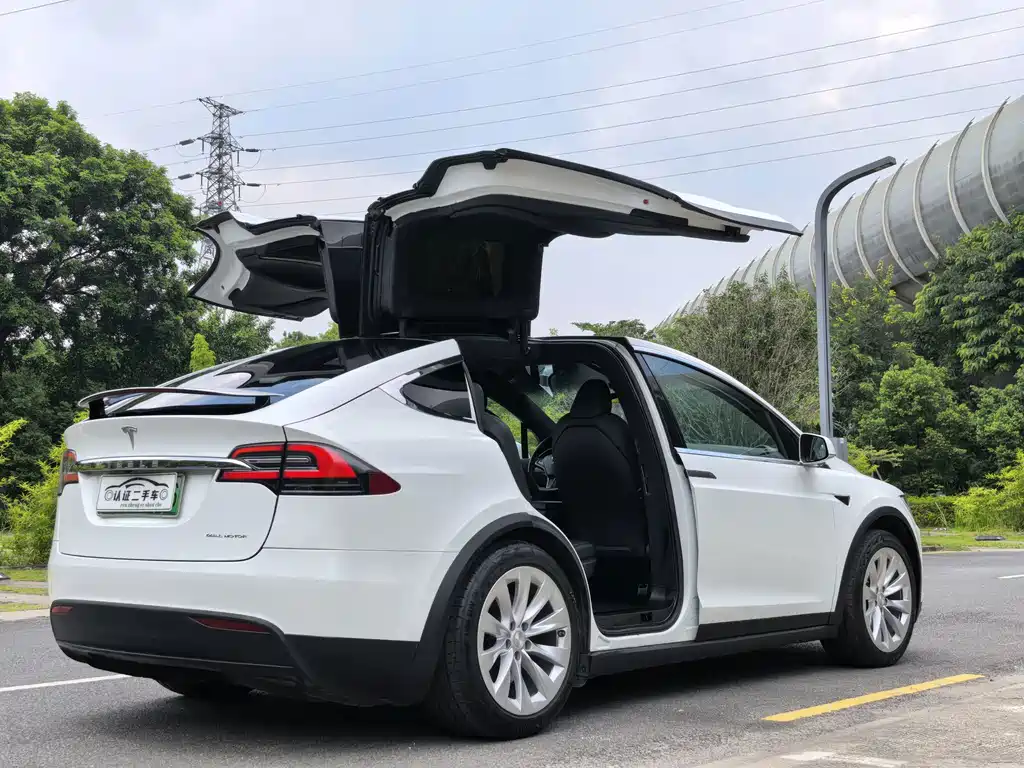 Tesla Model X — миниатюра 10